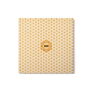 TRILLYYON - White & Gold - Flower Of Life Metal Print