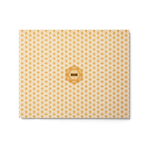 TRILLYYON - White & Gold - Flower Of Life Metal Print